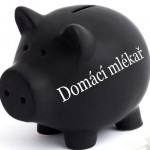 kasička