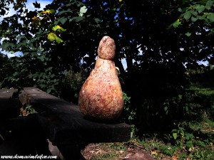 IMG_0952