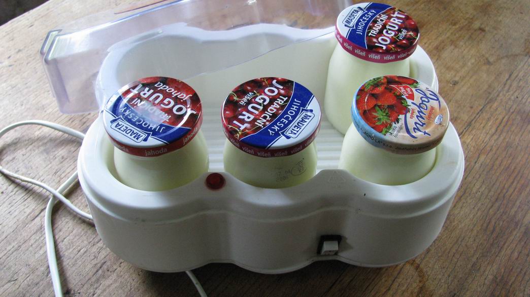 Domácí jogurt
